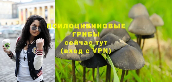 метадон Семёнов