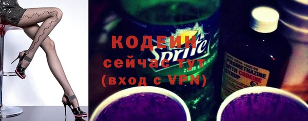 хмурый Арсеньев