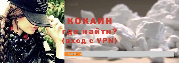 хмурый Арсеньев