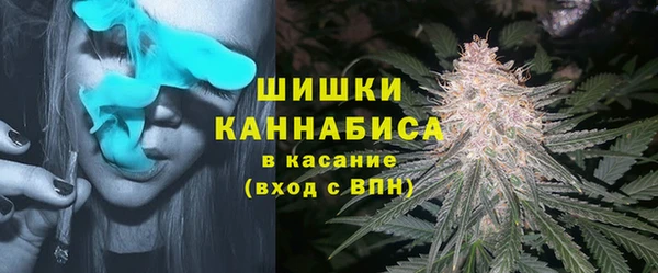хмурый Арсеньев