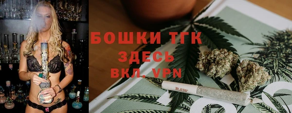 хмурый Арсеньев
