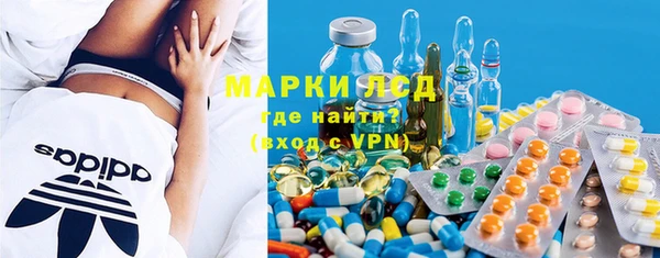 хмурый Арсеньев